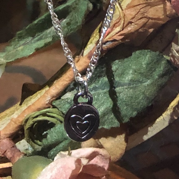 18” Silver Twisted Chain W/Double Heart ❤️ ChARm♾ - Picture 3 of 7